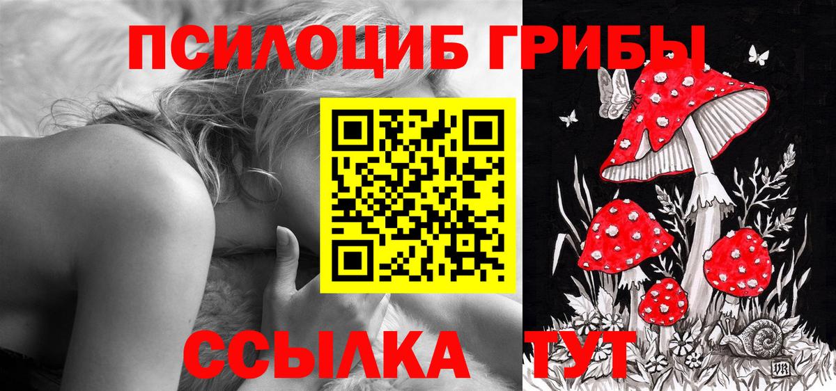 Галлюциногенные грибы Cubensis  Вход с VPN  Ирбит 