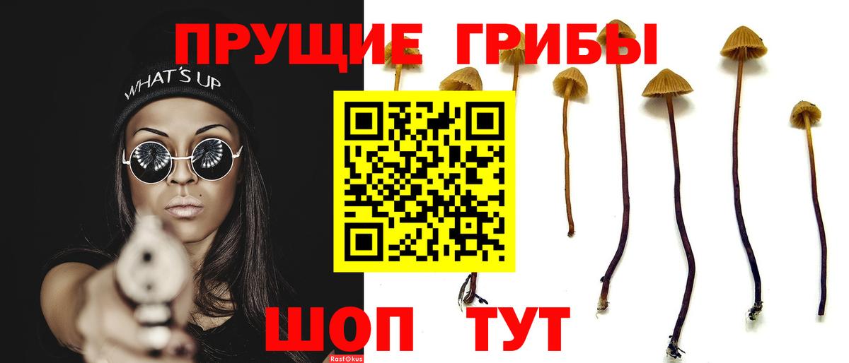 Псилоцибиновые грибы мухоморы Ирбит